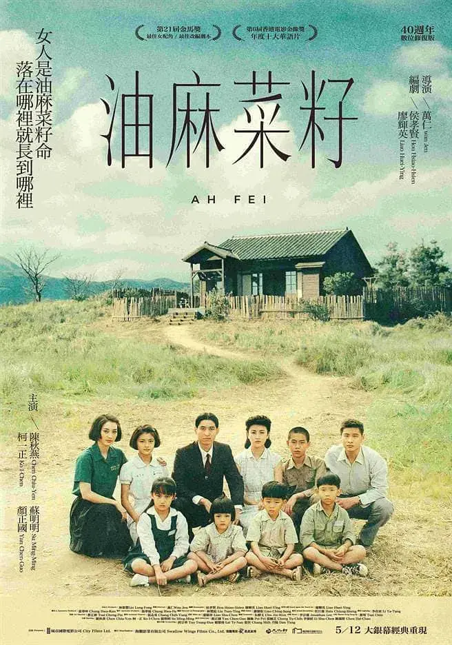 《油麻菜籽》：撕裂家庭的悲歌，女性困境的时代缩影，细腻描绘乡土人情的时代史诗