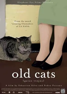 《老猫》：一段穿越历史的猫咪守护传说，温情治愈，见证时代变迁